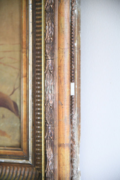 Still Life - Fruit & Pumpkin