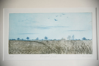 Pat Reid - Ploughed Field