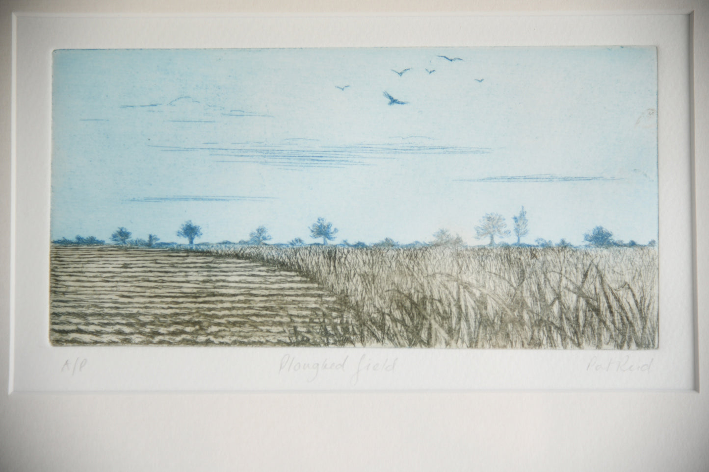 Pat Reid - Ploughed Field