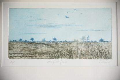 Pat Reid - Ploughed Field