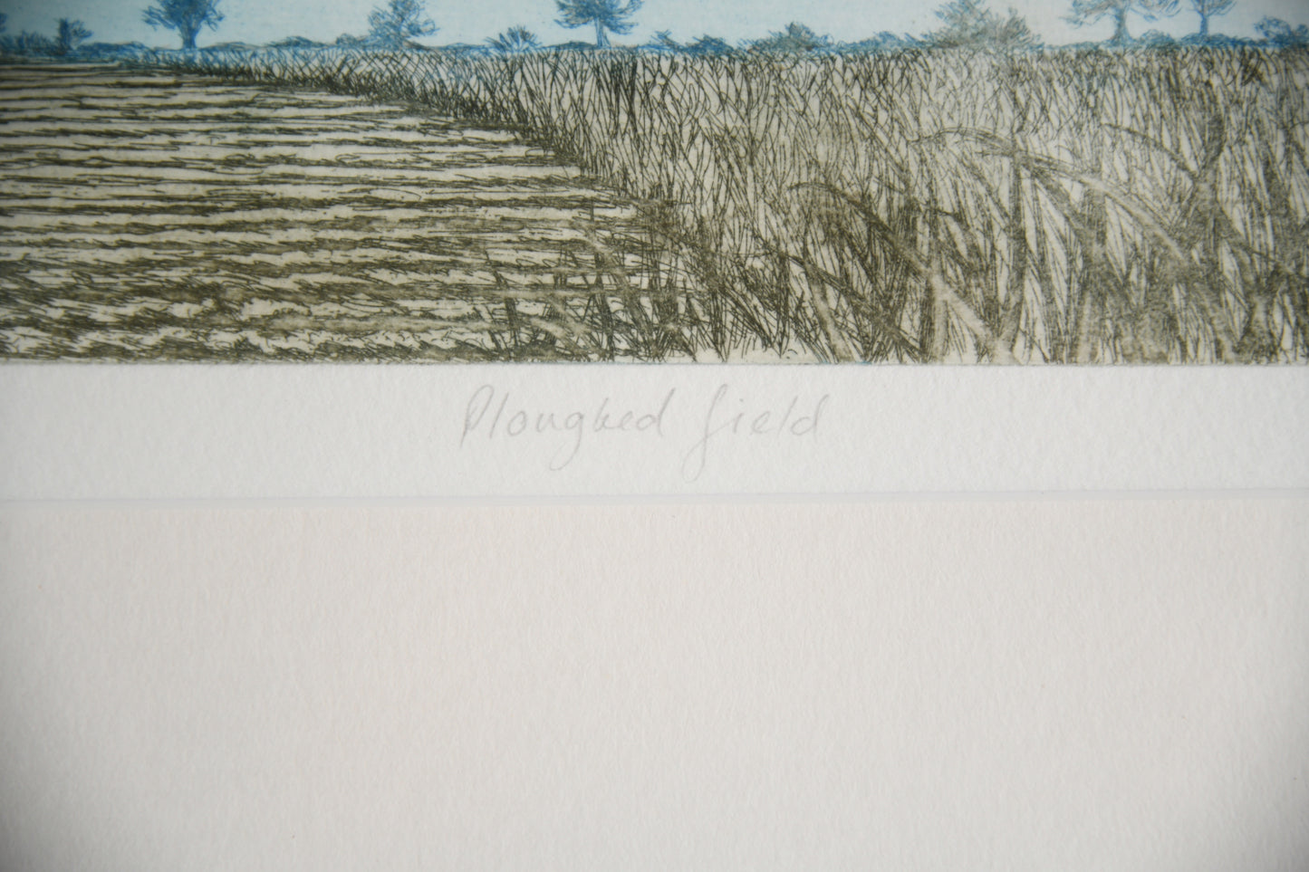 Pat Reid - Ploughed Field