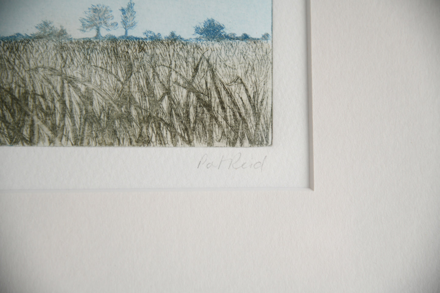 Pat Reid - Ploughed Field