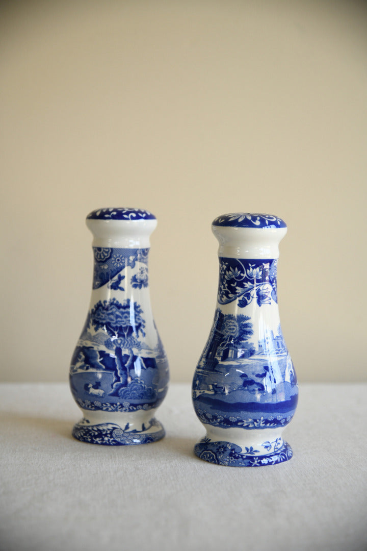 Large Spode Salt & Pepper Shakers