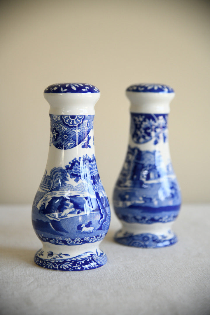 Large Spode Salt & Pepper Shakers