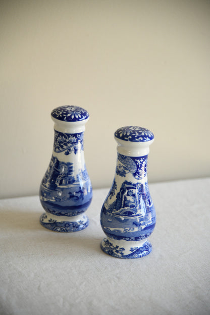 Large Spode Salt & Pepper Shakers