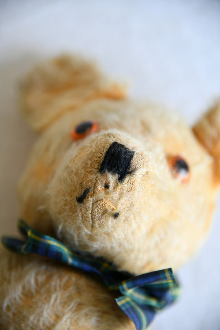 Vintage Mohair Teddy Bear
