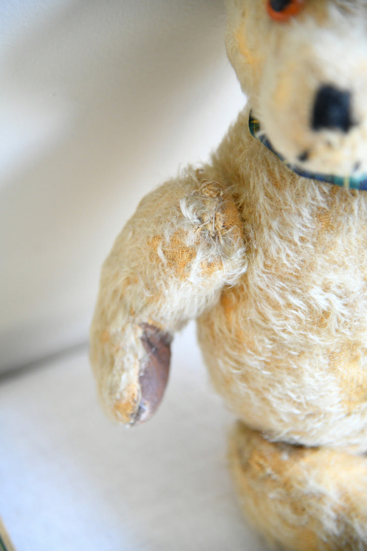Vintage Mohair Teddy Bear