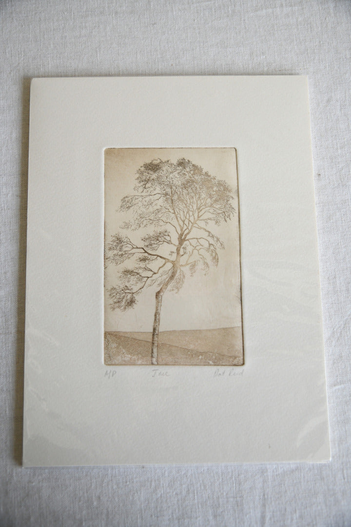 Pat Reid Tree Etching
