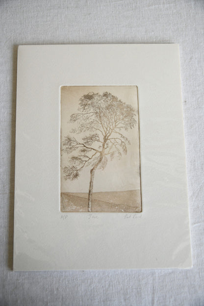 Pat Reid Tree Etching