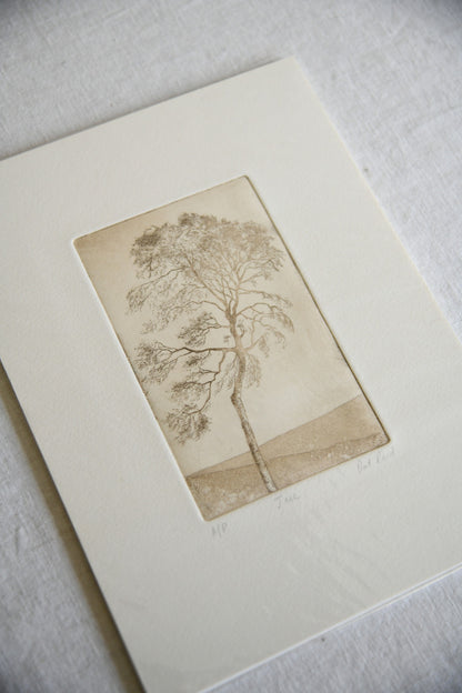 Pat Reid Tree Etching