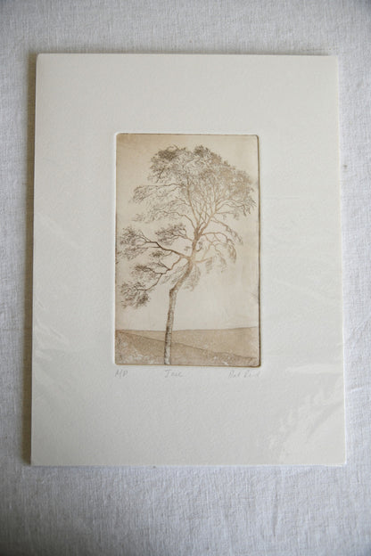 Pat Reid Tree Etching