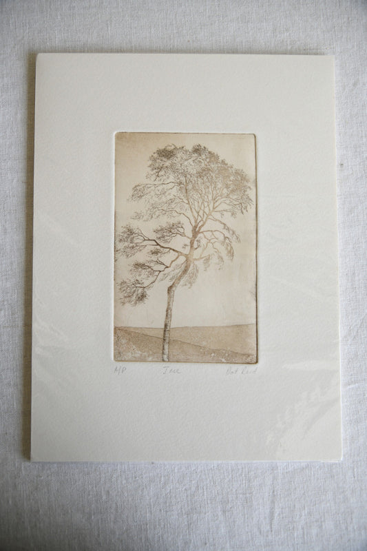 Pat Reid Tree Etching