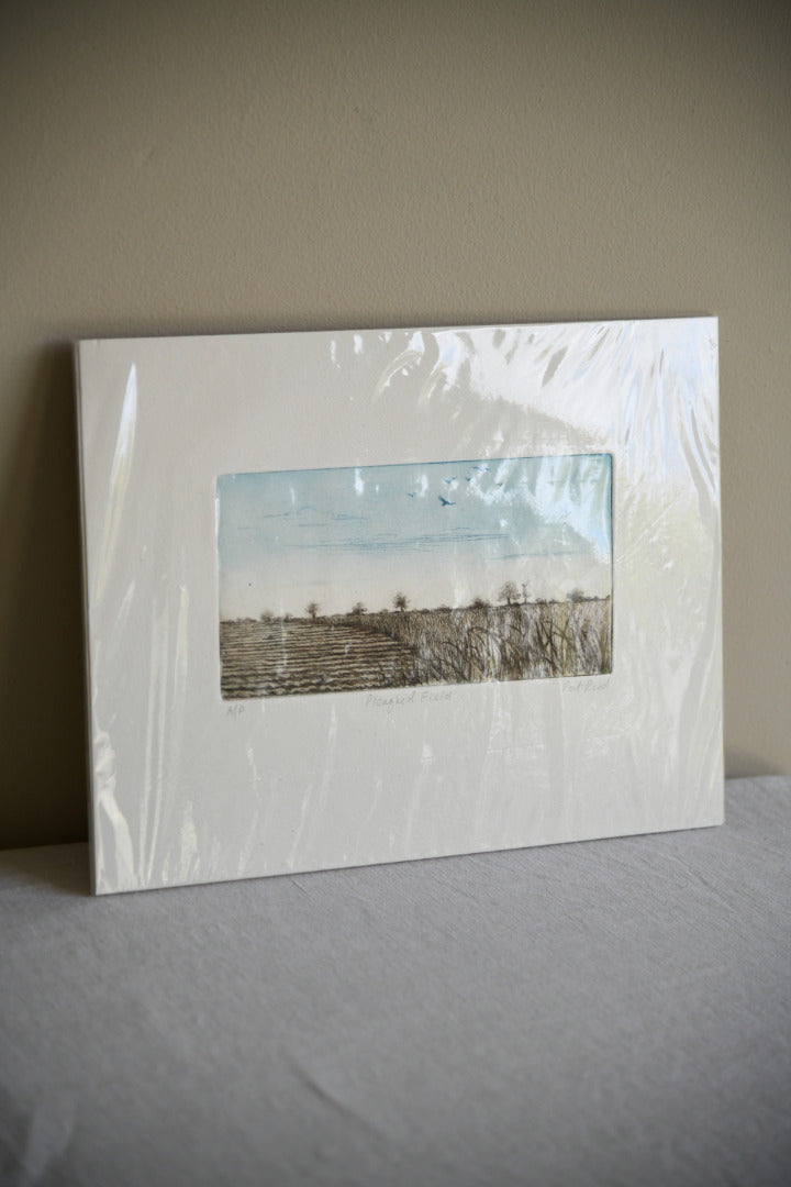 Pat Reid - Ploughed Field Etching