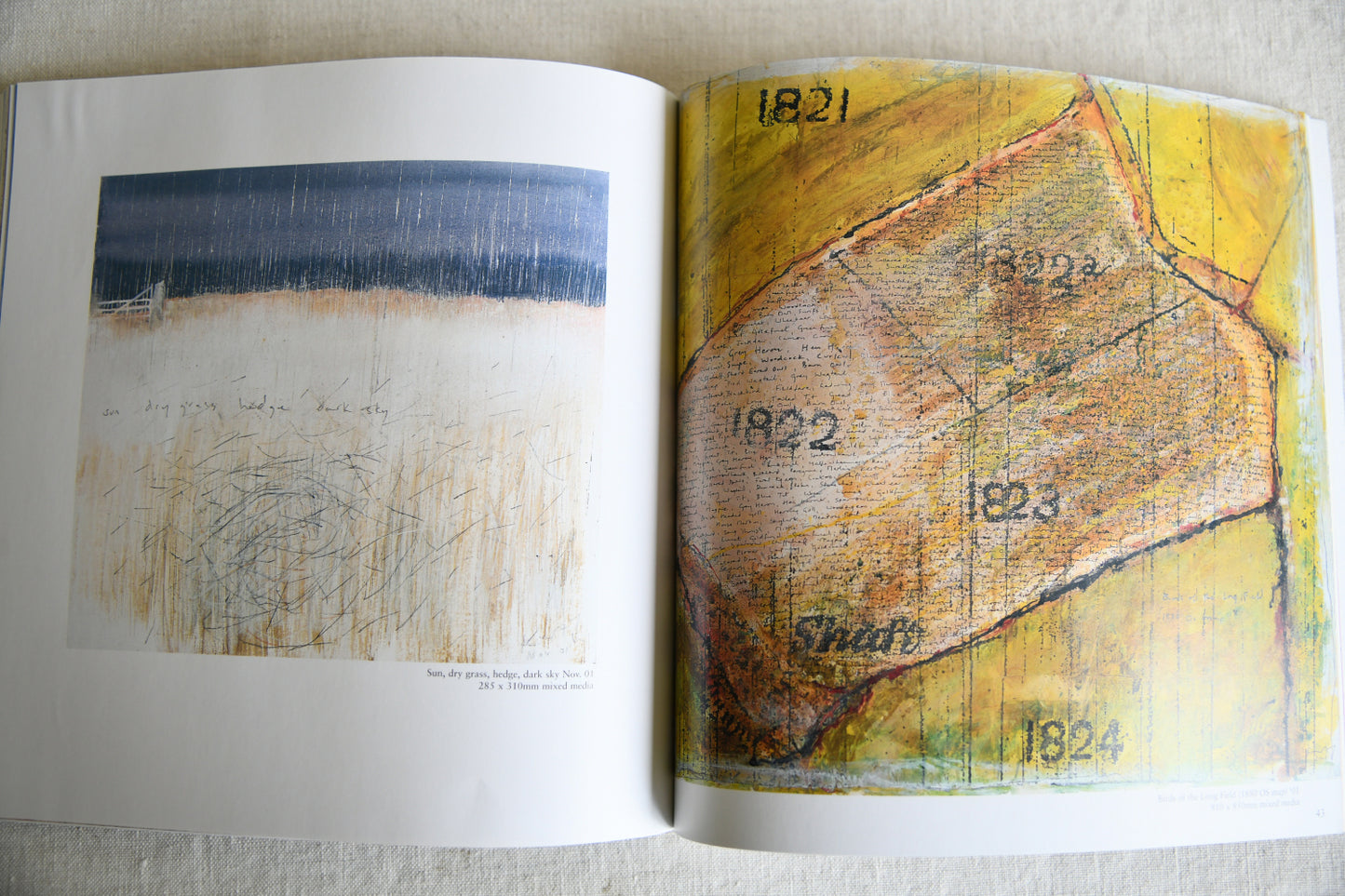 Kurt Jackson The Dart & Long Field Exhibition Catalogue
