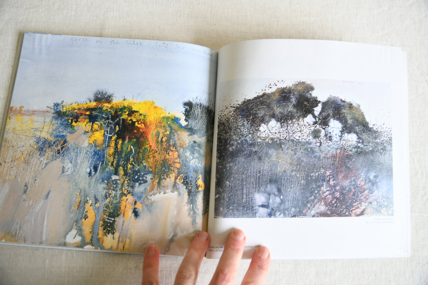 Kurt Jackson The Dart & Long Field Exhibition Catalogue