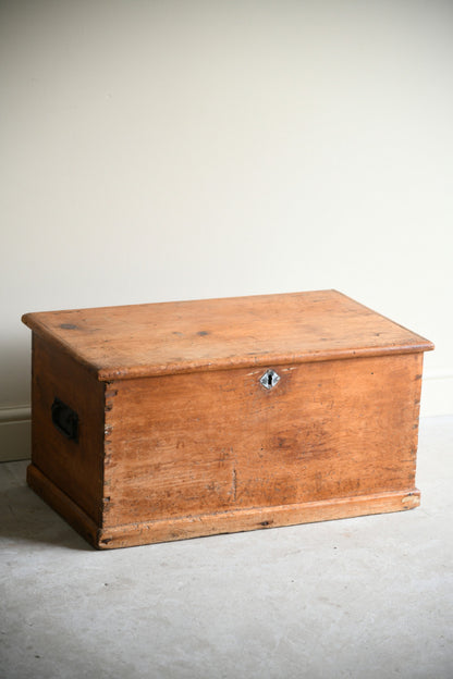 Antique Pine Trunk