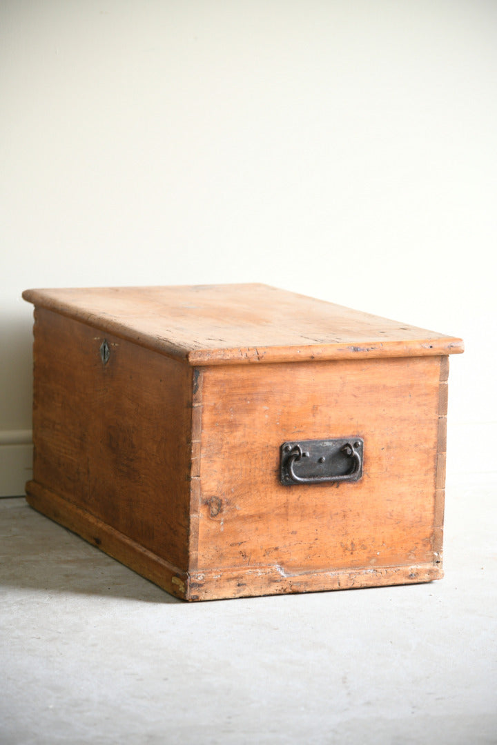 Antique Pine Trunk