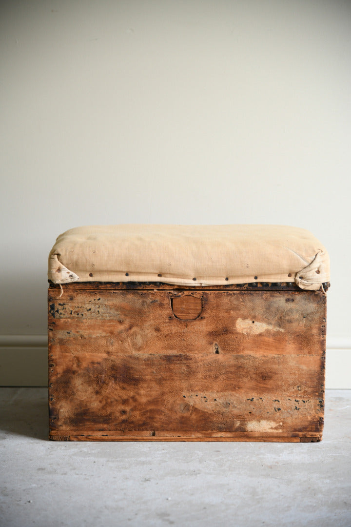 Vintage Upholstered Trunk