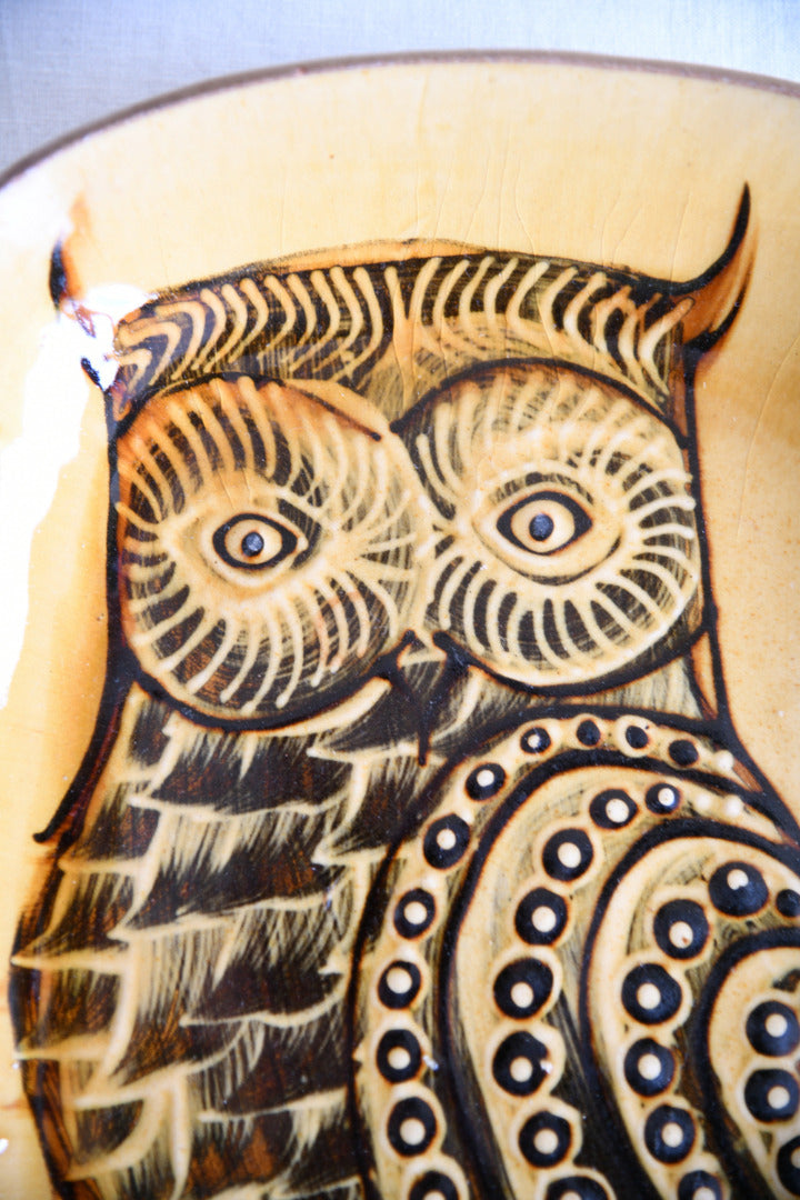 Large Studio Pottery Slipware Dish with Owl Decoration