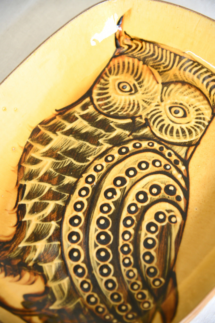 Large Studio Pottery Slipware Dish with Owl Decoration