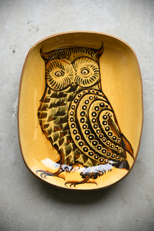 Large Studio Pottery Slipware Dish with Owl Decoration
