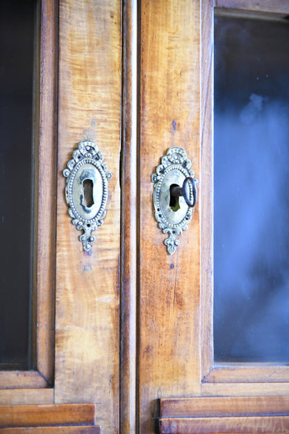 19th Century Biedermeier Satin Birch Glazed Cabinet