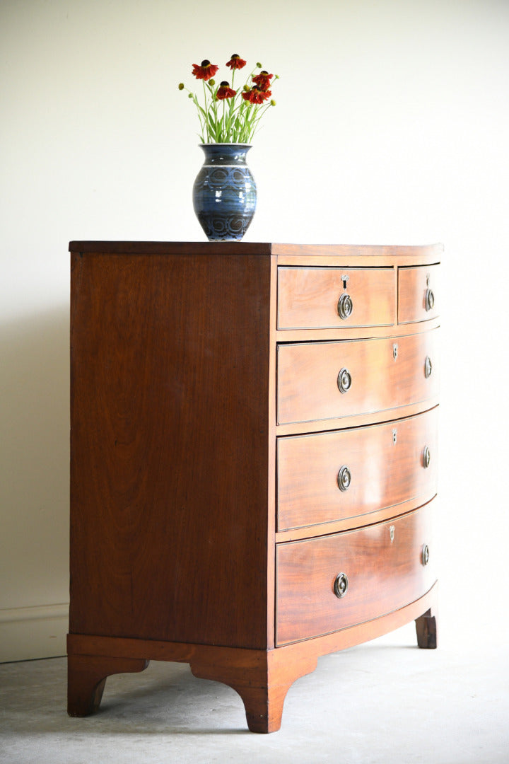 Early 19th Century Mahogany Bow Front Chest of Drawers