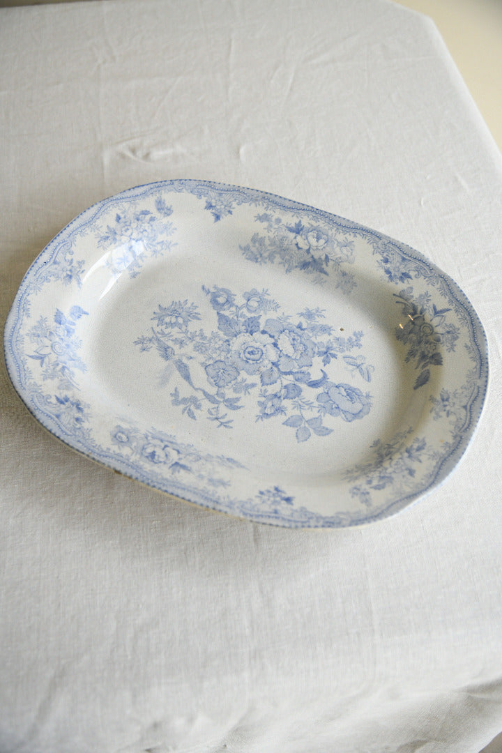 19th Century Blue and White Transferware Meat Platter
