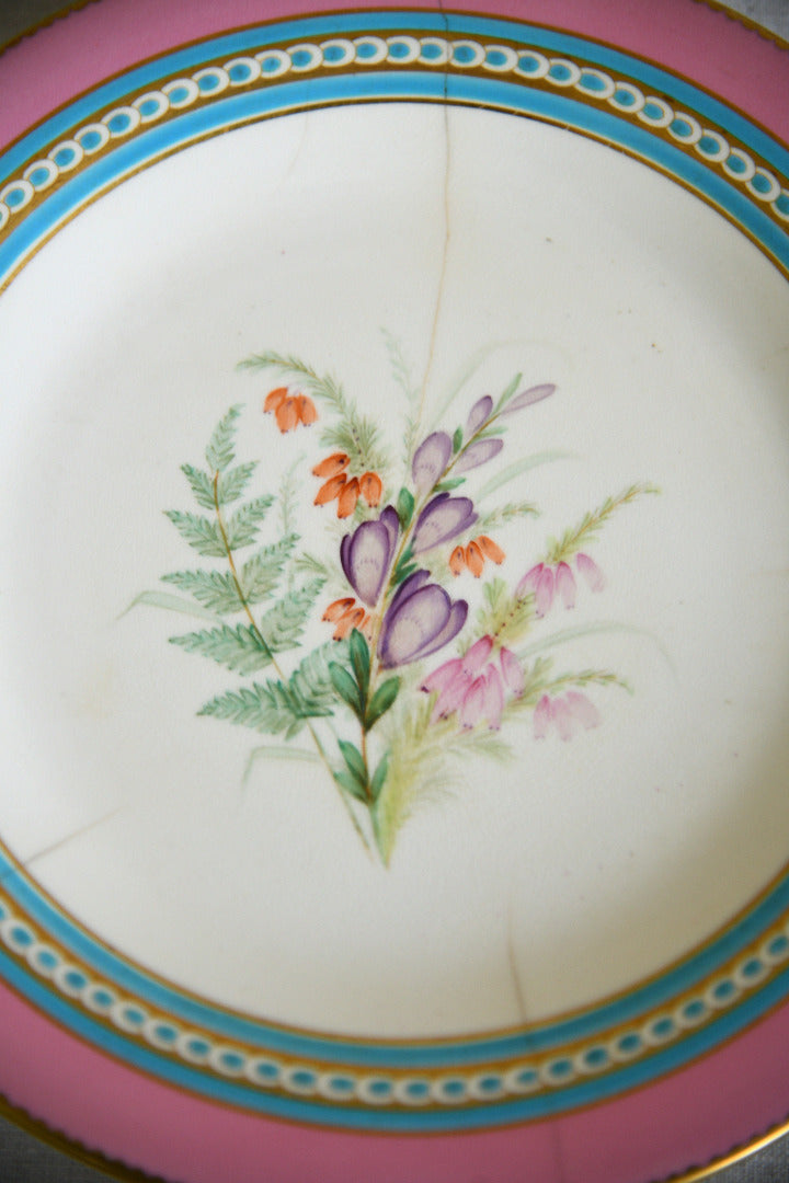 Set of Five Victorian Royal Worcester Hand Painted Botanical Plates