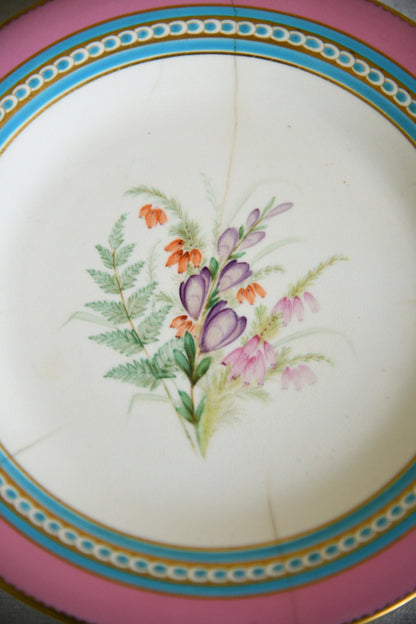 Set of Five Victorian Royal Worcester Hand Painted Botanical Plates