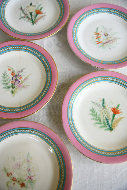 Set of Five Victorian Royal Worcester Hand Painted Botanical Plates