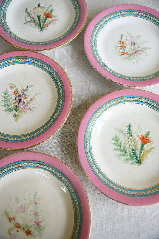 Set of Five Victorian Royal Worcester Hand Painted Botanical Plates