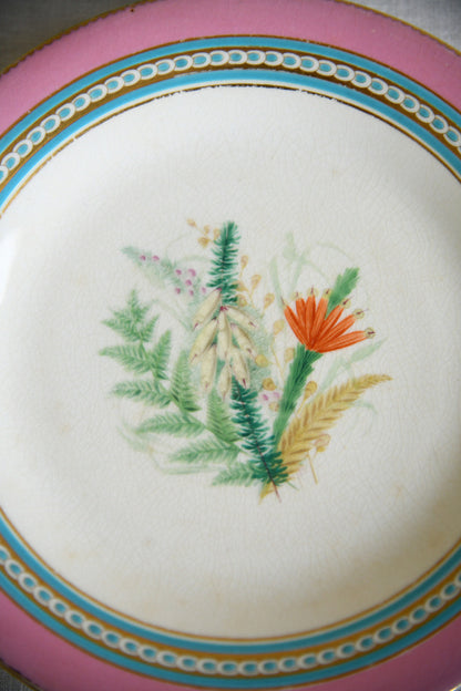 Set of Five Victorian Royal Worcester Hand Painted Botanical Plates