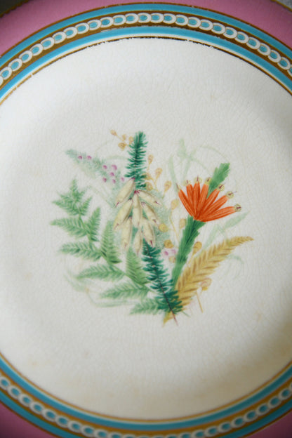 Set of Five Victorian Royal Worcester Hand Painted Botanical Plates