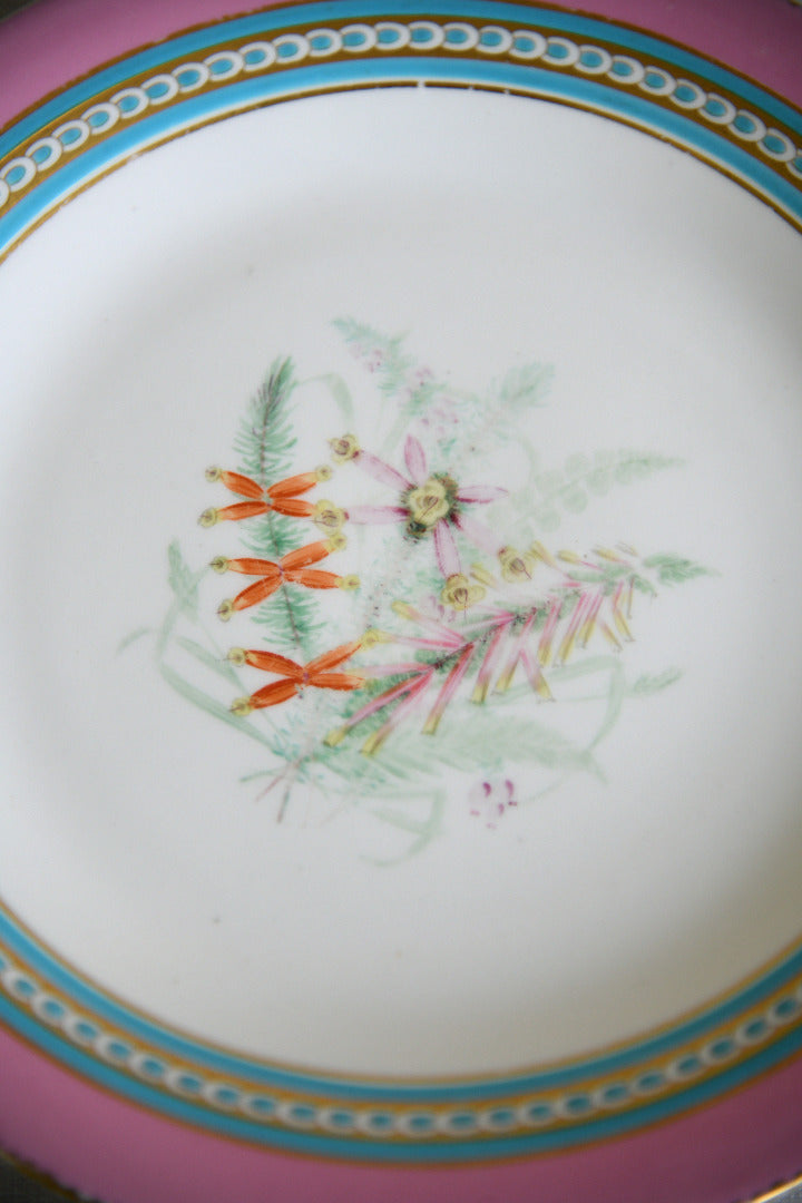 Set of Five Victorian Royal Worcester Hand Painted Botanical Plates