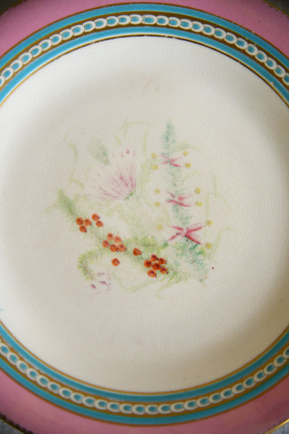 Set of Five Victorian Royal Worcester Hand Painted Botanical Plates