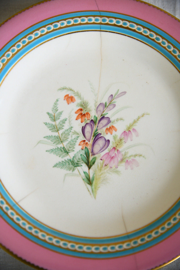 Set of Five Victorian Royal Worcester Hand Painted Botanical Plates