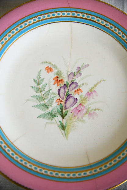 Set of Five Victorian Royal Worcester Hand Painted Botanical Plates