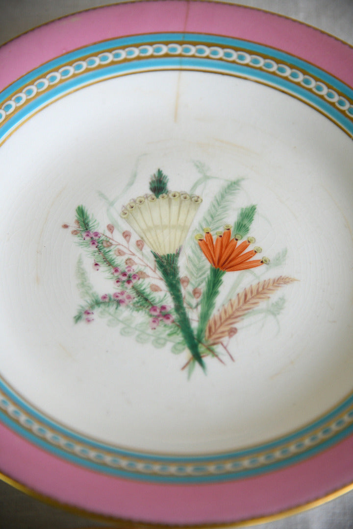 Set of Five Victorian Royal Worcester Hand Painted Botanical Plates