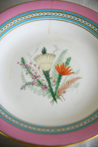 Set of Five Victorian Royal Worcester Hand Painted Botanical Plates
