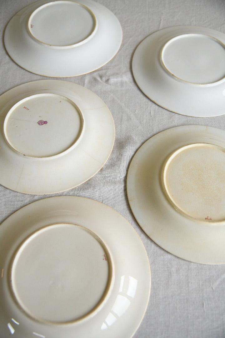 Set of Five Victorian Royal Worcester Hand Painted Botanical Plates