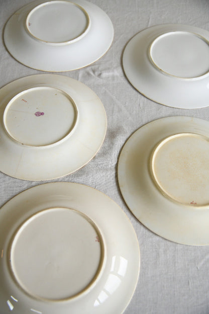 Set of Five Victorian Royal Worcester Hand Painted Botanical Plates