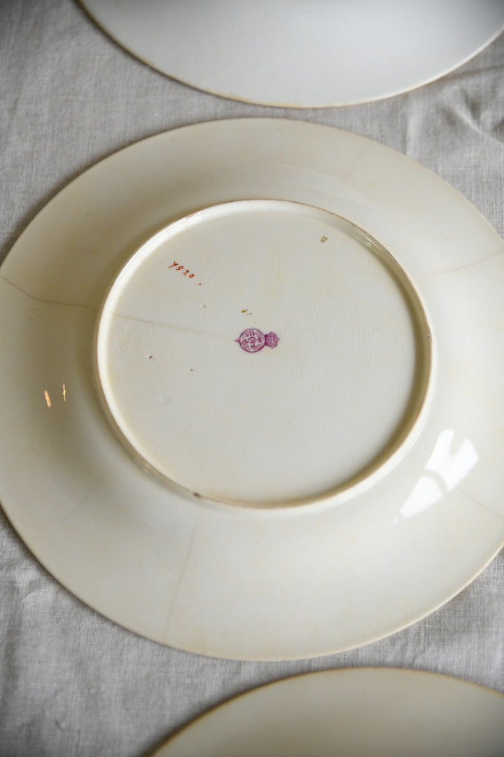 Set of Five Victorian Royal Worcester Hand Painted Botanical Plates