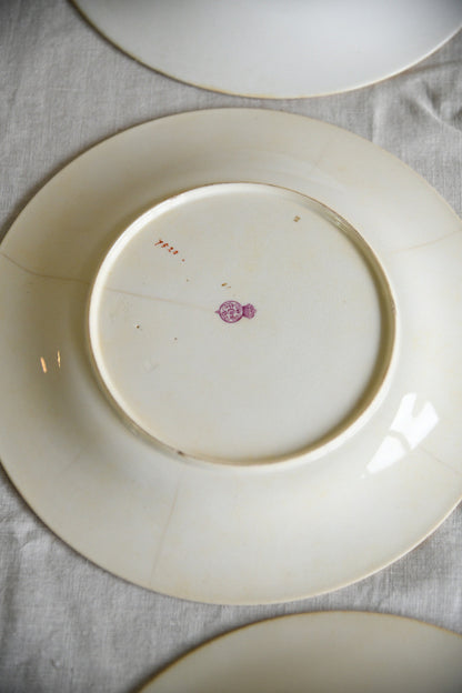 Set of Five Victorian Royal Worcester Hand Painted Botanical Plates