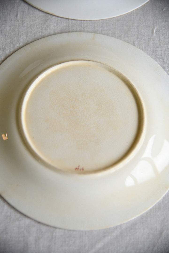 Set of Five Victorian Royal Worcester Hand Painted Botanical Plates