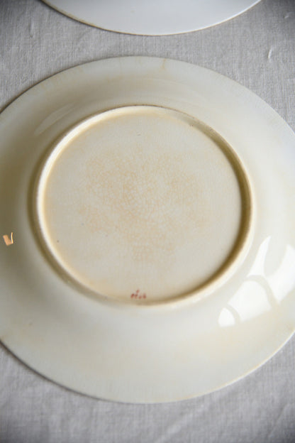 Set of Five Victorian Royal Worcester Hand Painted Botanical Plates