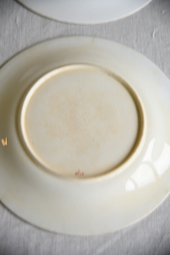 Set of Five Victorian Royal Worcester Hand Painted Botanical Plates