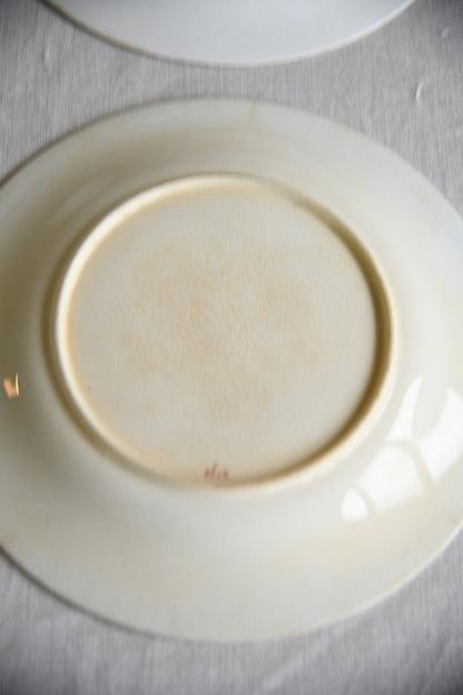 Set of Five Victorian Royal Worcester Hand Painted Botanical Plates