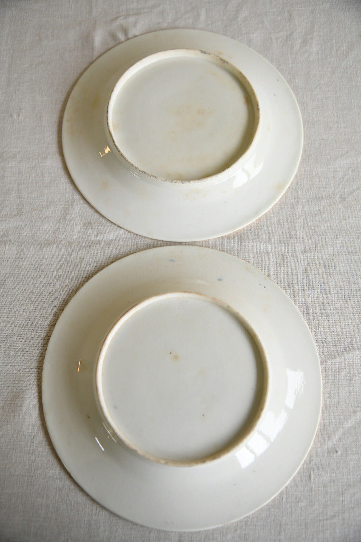 Pair of 19th Century Hand Painted Imari Style Plates
