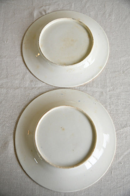 Pair of 19th Century Hand Painted Imari Style Plates
